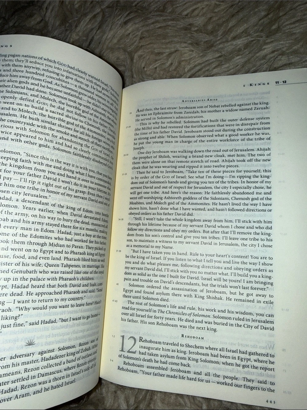 Women of Faith the message devotions book